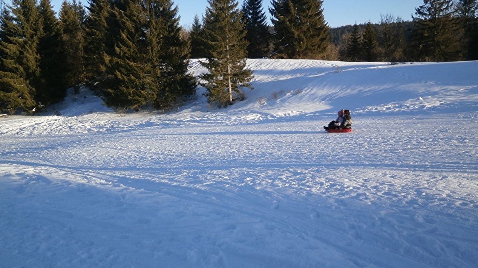 Piste de luge à Saint-Laurent en Grandvaux