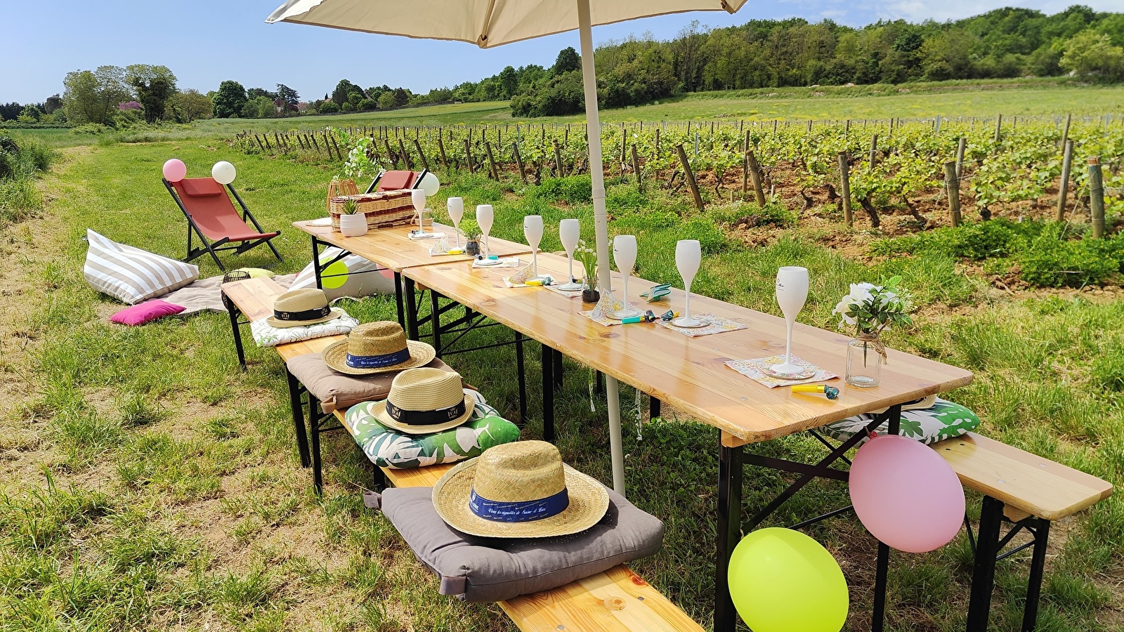 Visite et pique-nique dans les vignes - Vitteaut-Alberti