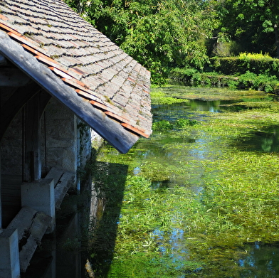 Lavoir à plancher mobile