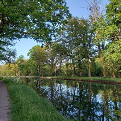 Randonnée à Fleury-sur-Loire / Boucle du Vieux Glaut