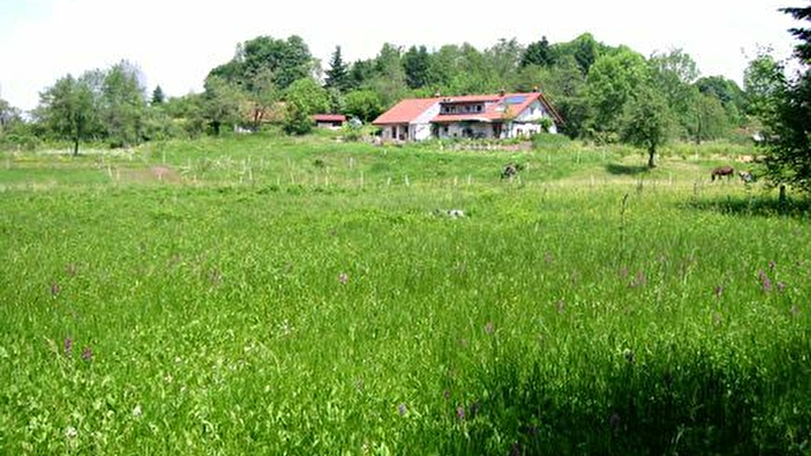 Gîte rural