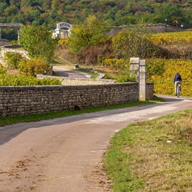 Location de vélo à assistance électrique - Gevrey-Chambertin