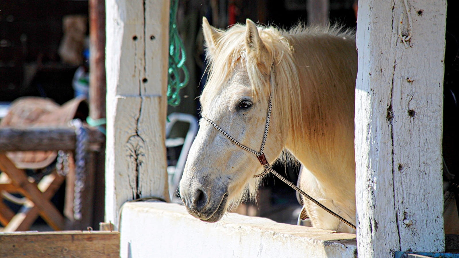 Centre Équestre de la Cavalerie de la Source