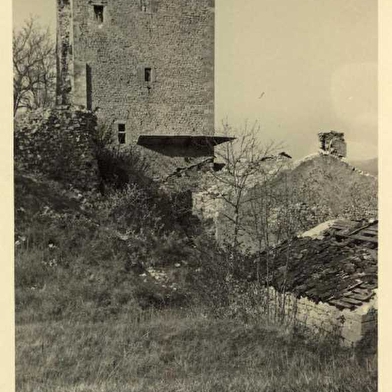 L’or jaune du Dieu de Coligny