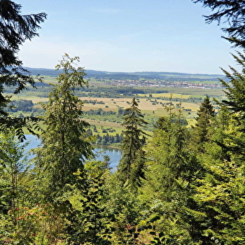 La Croix de la Bèche - LA RIVIERE-DRUGEON