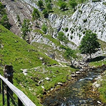 Source de la Saine - FONCINE-LE-HAUT