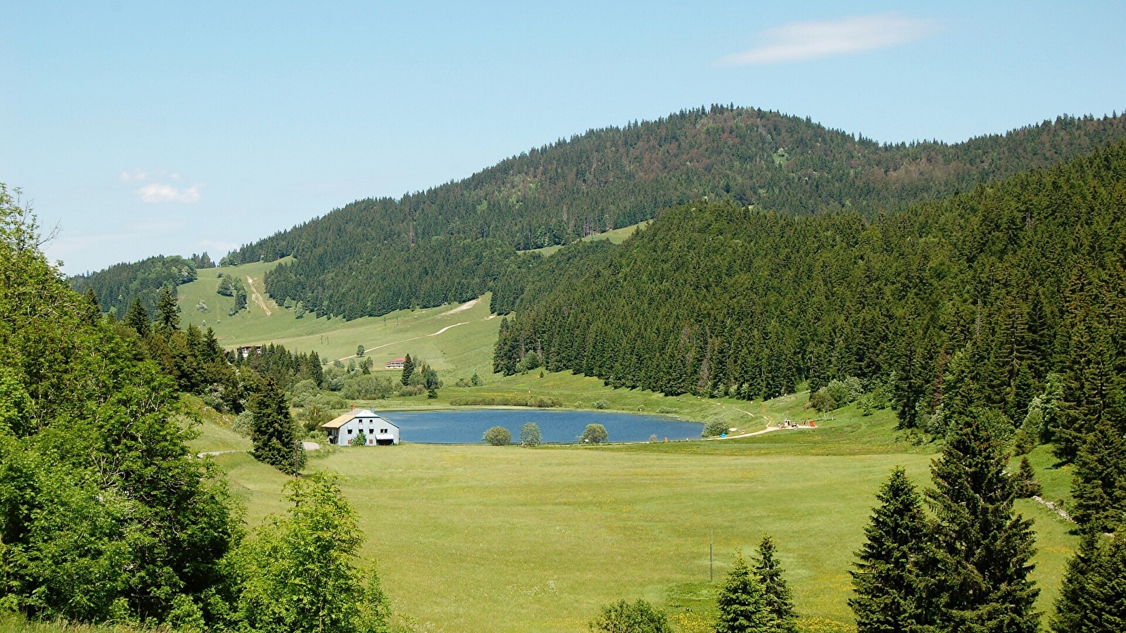 Tourbière de la combe du lac à Lamoura