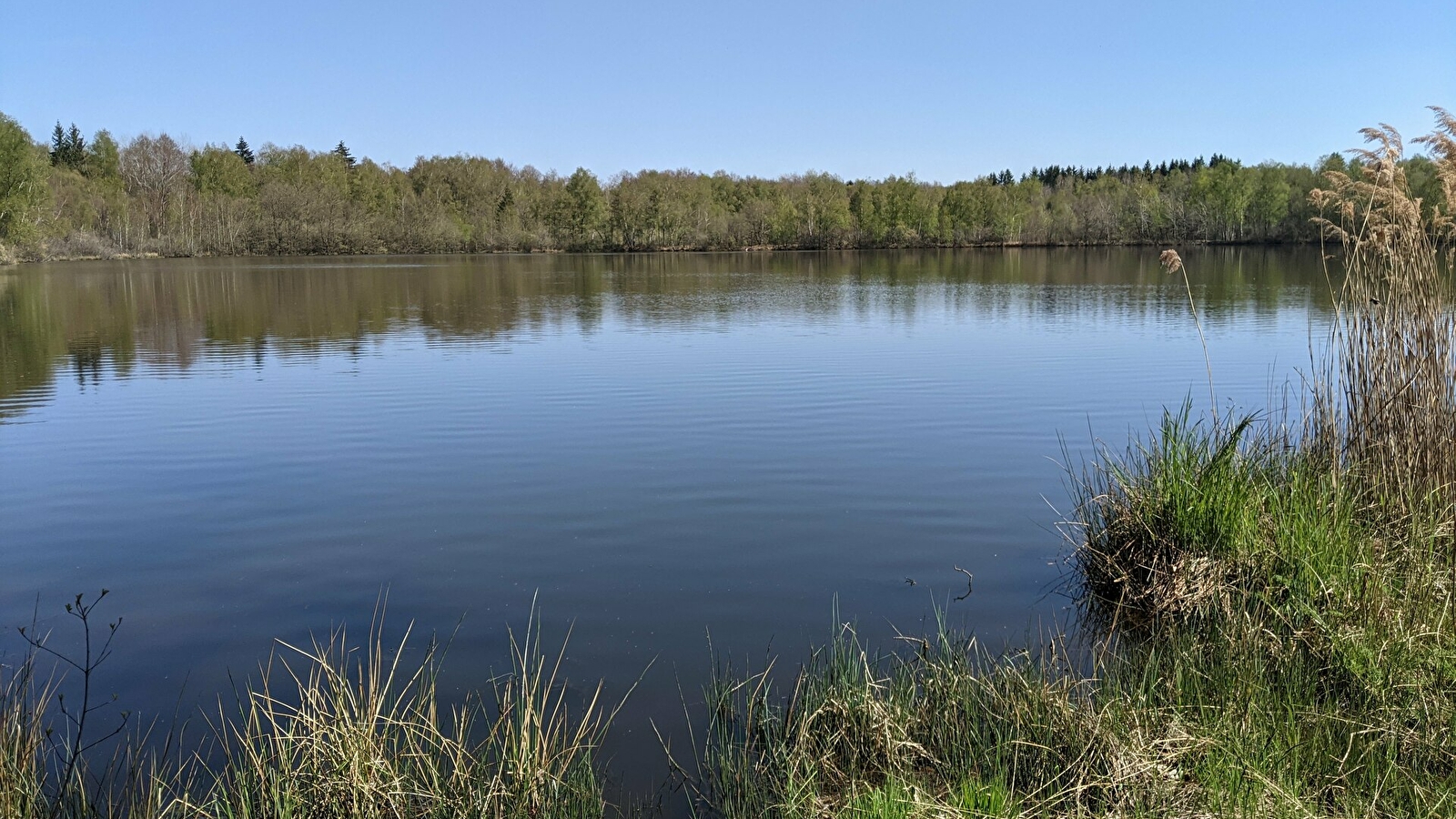 Le Sentier du Bois des Hauts