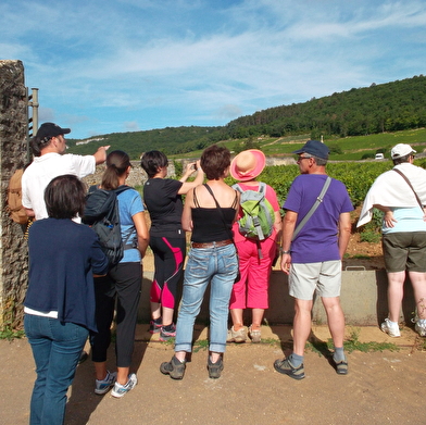 Visite guidée du Sentier de la Bossière