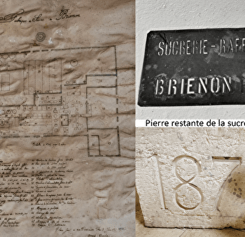 Brienon, terre de sucre - BRIENON-SUR-ARMANCON