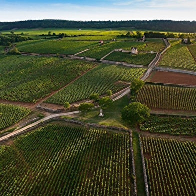 Conférence 'Les climats du Vignoble de Bourgogne' suivi d'un vin d'honneur