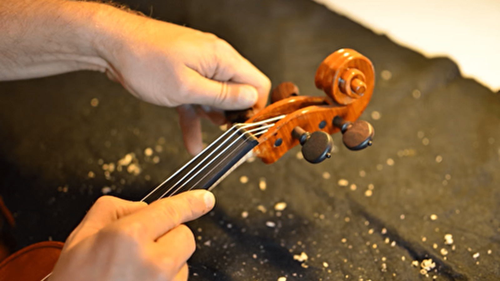 Musicales Anzy - Découverte de la lutherie