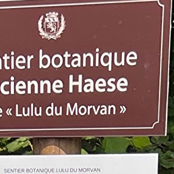 À la découverte du sentier botanique 'Lulu du Morvan' (Journées Européennes du Patrimoine) - AUTUN