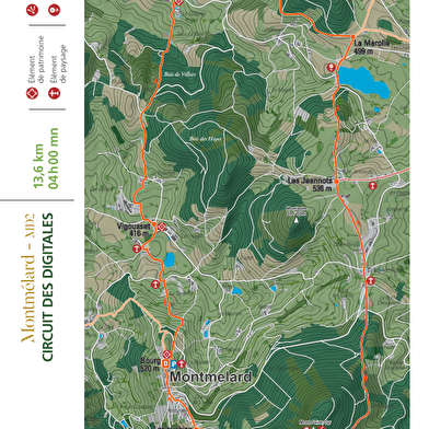 Circuit des digitales 