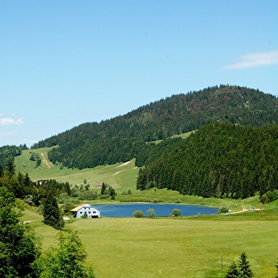 Tourbière de la combe du lac à Lamoura