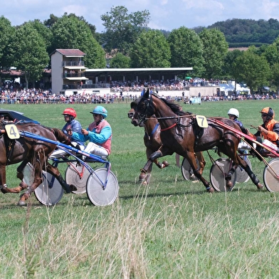 Courses Hippiques