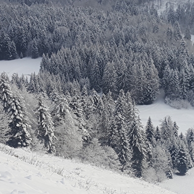Les Crêtes depuis la Praille - Circuit raquettes
