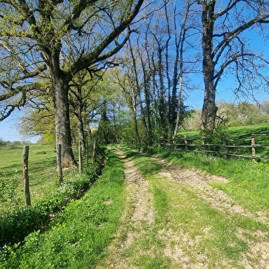 Liaison VTT (L4) St Trivier de Courtes - Ferme de la Forêt