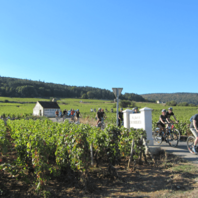 Velovitamine - Balade Oenologique à vélo 'Côte de Nuits 1er Cru' Dijon à Gevrey-Chambertin