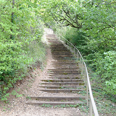 Parc de la Combe à la Serpent