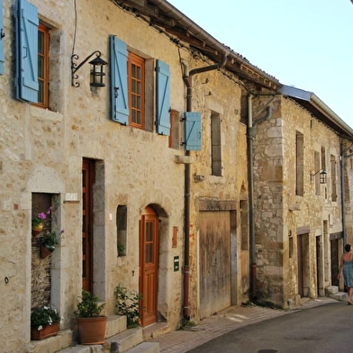 Treffort médiéval, une traversée d'histoire