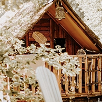 Enquête game 'Le mystère de la pierre gravée' - CLAIRVAUX-LES-LACS