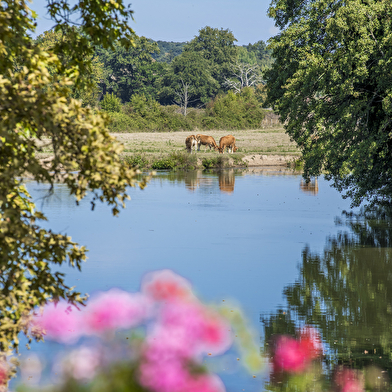 Du val de Besbre au val de Loire