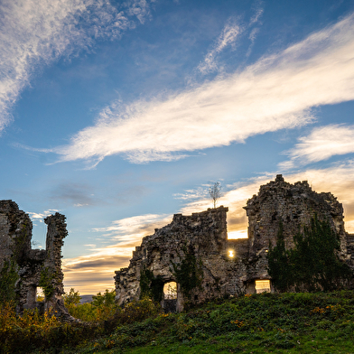 Vestiges du château de la Tour-du-Meix