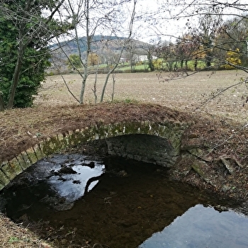 Pont sur La Petite Grosne - BUSSIERES