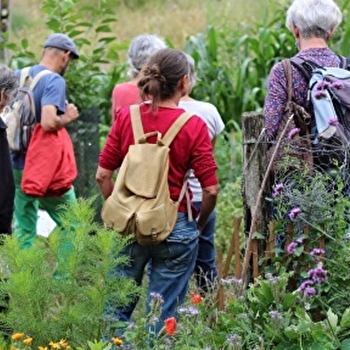 Découvrez la forêt-jardin - MONTCENIS