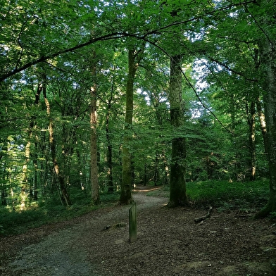 Sentier ludique de la Côte Roux