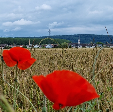 Famille et Théâtre antique