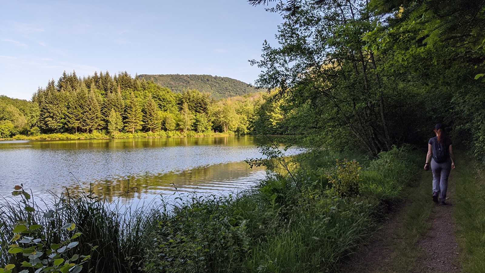 Le Grand Rosbeck (petit circuit)