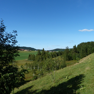 Saint-Sorlin