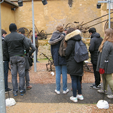 Visite Guidée Couplée du Musée de l'Elevage et du Charolais et du Marché au Cadran