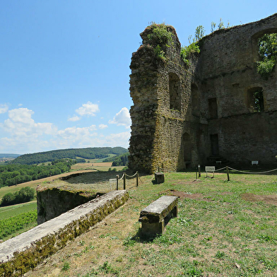 Château d'Arlay