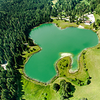 Parcours VTTAE 70 bleu - D'Oyonnax au lac Genin - Espace FFC Ain Forestière - OYONNAX