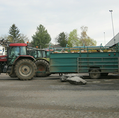 Marché au Cadran S.I.C.A.F.O.M.E (Société Intérêts Collectifs Agricole des Foires Organisées de Moulins-Engilbert)