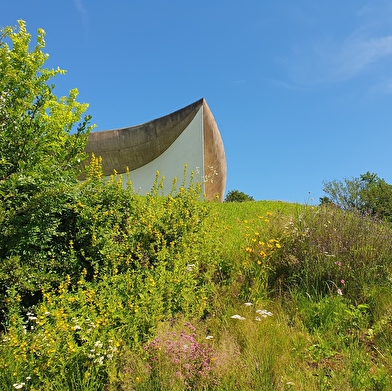 Atelier biodiversité 