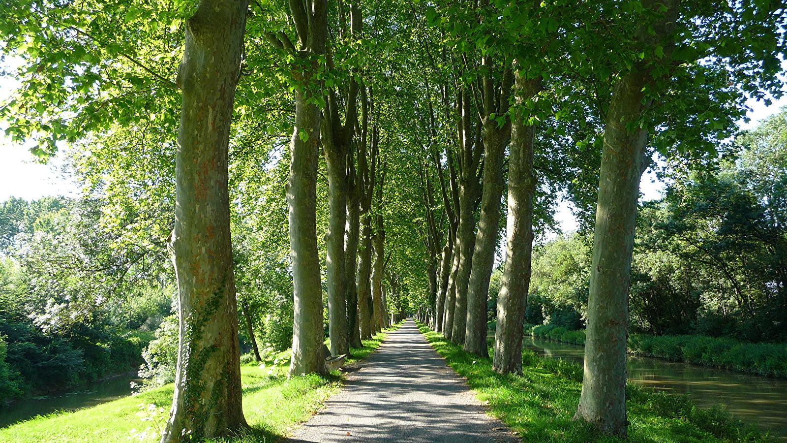 La Voie Bleue, Moselle-Saône à vélo®