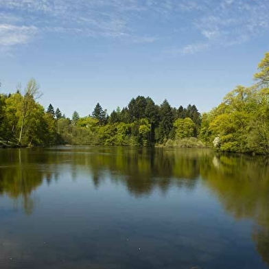 Contrefort du Charollais