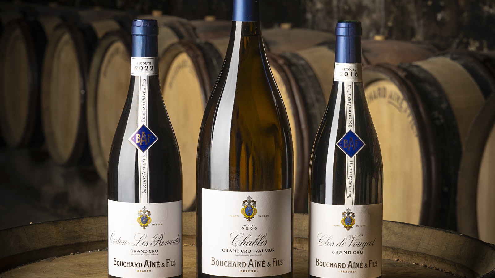 Bouchard Ainé & Fils - Dégustation spéciale Vente des Vins 2025 (9 vins dont 3 Grands Crus)