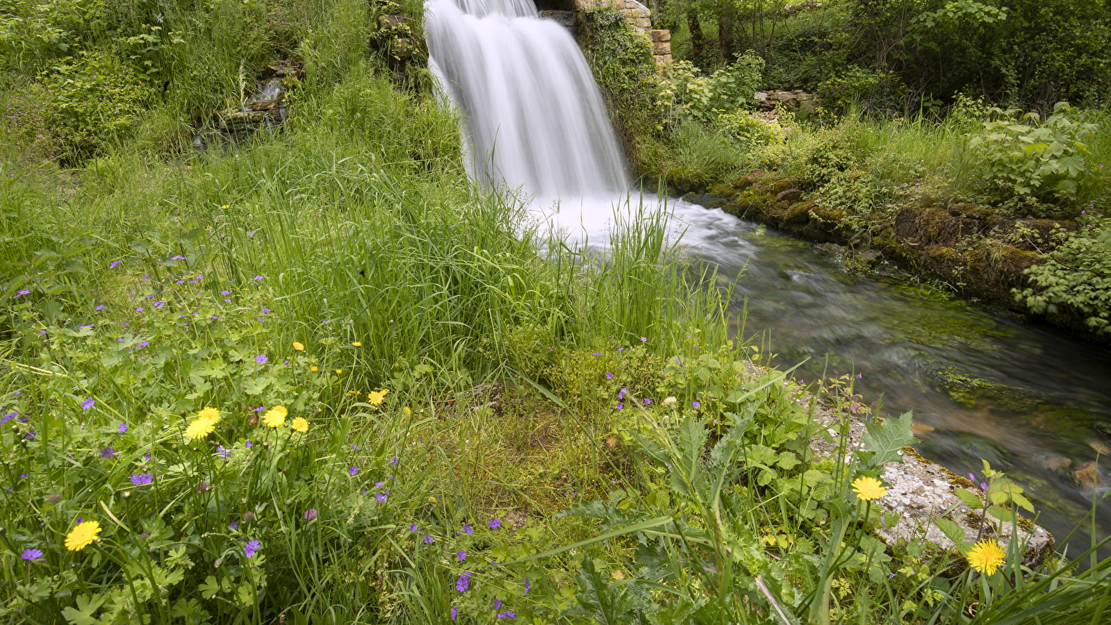 La source du suran