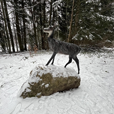 Balade - La piste des animaux