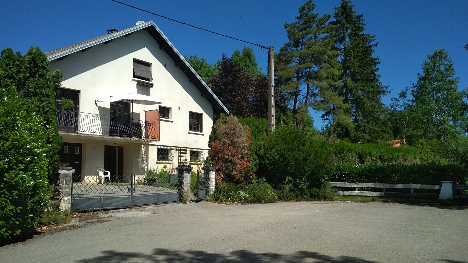 Les écureuils