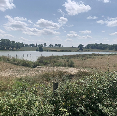 Randonnée : Sentier des Sources libres