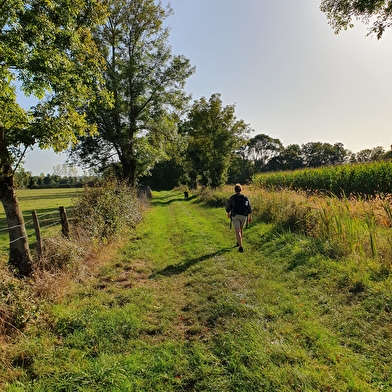 Circuit randonnée: La chavannoise.