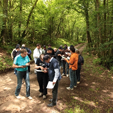 La Grotte de Champ Retard - Parcours aventure sur rocher