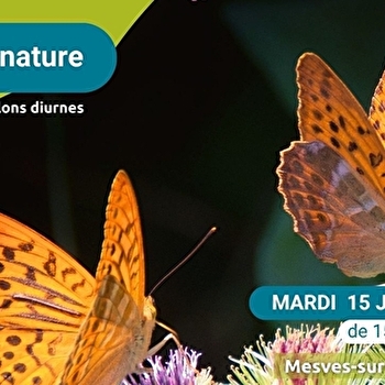Sortie 'Papillons diurnes' - MESVES-SUR-LOIRE