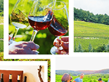 Balade oeno-sensorielle -découverte des secrets vins de Bourgogne - Couchey